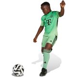 Adidas - Fc Bayern 25/26 - Voetbalkeepershirt - Zwart - 100% Polyester, AEROREADY