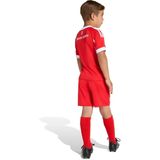 adidas - Bayern Munich - Voetbaltenue - Rood/Wit - AEROREADY Technologie