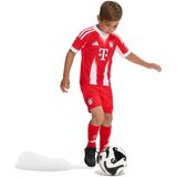 adidas - Bayern Munich - Voetbaltenue - Rood/Wit - AEROREADY Technologie
