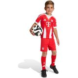 adidas - Bayern Munich - Voetbaltenue - Rood/Wit - AEROREADY Technologie