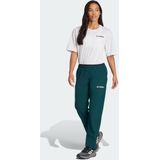 adidas Terrex - Hikingbroek - Grijs - 90% Polyester Gerecycled