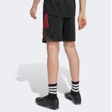 adidas - Ajax Uitbroekje 2025-2026 - Kids - Vochtafvoerende AEROREADY Technologie