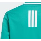 adidas - Performance Sport Crewneck - Sweater - Groen - Kinderen - 164