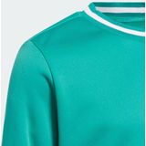 adidas - Performance Sport Crewneck - Sweater - Groen - Kinderen - 164