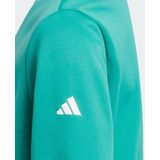adidas - Performance Sport Crewneck - Sweater - Groen - Kinderen - 164