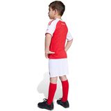 adidas - Arsenal Minikit Thuis 2025-2026 - Peuters/Kleuters