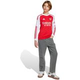 Arsenal - Thuisshirt - Kinderen - Rood - Katoen