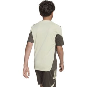 Adidas - Real TR JSY Y - Voetbal Trainingshirt - Groen - Korte Mouwen