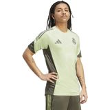 adidas - Real Madrid - Trainingsshirt - Lichtgroen Grijs - 2025-2026