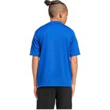 Messi Training Voetbalshirt Kids