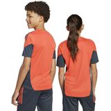 adidas - Replica Voetbal Trainingshirt - Roze-Multicolor - 100% Gerecycled Polyester