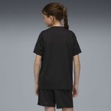 PUMA - individualCUP - Voetbalshirt - Blauw/Zwart/Wit