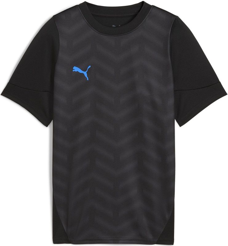 PUMA - individualCUP - Voetbalshirt - Blauw/Zwart/Wit