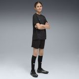 PUMA - individualCUP - Voetbaltrainingsshort - Blauw/Zwart/Wit