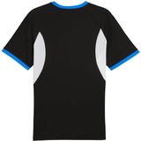 PUMA - individualLIGA - Jersey - Blauw - Heren