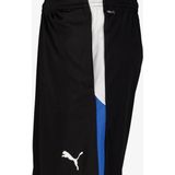 Puma - Individualiga Training Shorts 2 - Heren - Sportbroeken
