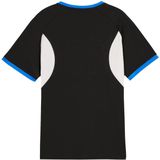 Puma - individualLIGA - Voetbalshirt - Zwart