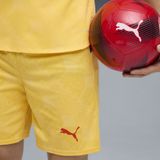 Puma - Milan AC 2025/26 - Korte Broek - Voor Volwassen Mannen