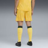 Puma - Milan AC 2025/26 - Korte Broek - Voor Volwassen Mannen