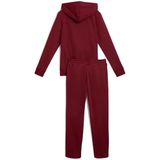 Puma - Metallic - Trainingspak