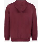 Puma - Essential 1 Logo Hoodie - Rood - Heren