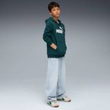 PUMA - Hoodie - Grijs - Fleece - Jersey Gevoerde Capuchon