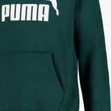PUMA - Hoodie - Grijs - Fleece - Jersey Gevoerde Capuchon