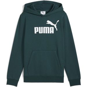 PUMA - Hoodie - Grijs - Fleece - Jersey Gevoerde Capuchon