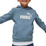 Puma - Ess Nº 1 Logo Ps - Hoodie - Fleece