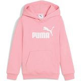 PUMA - Hoodie - Blauw - Fleece - Met Capuchon