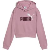 Puma - Hoodie - Grijs - Katoen/Gerecycled Polyester