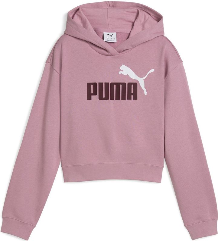 Puma - Hoodie - Grijs - Katoen/Gerecycled Polyester