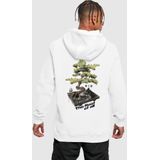 Mister Tee - Root Of All - Dames Hoodie
