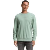 TOM TAILOR Sweatshirt  grijs / pastelgroen