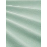 TOM TAILOR Sweatshirt  grijs / pastelgroen