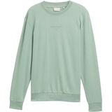 TOM TAILOR Sweatshirt  grijs / pastelgroen