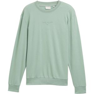 TOM TAILOR Sweatshirt  grijs / pastelgroen