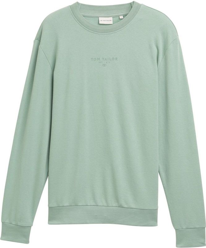 TOM TAILOR Sweatshirt  grijs / pastelgroen