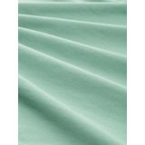 TOM TAILOR - Shirt - Lichtgroen - Kwartmouw - Ronde Hals - Tekst Print