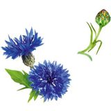 Guhl Fohn Active Styling Spray