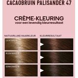Guhl - Pearlance - Intensieve Crème-Kleuring - Cacaobruin - 100% Grijsdekking