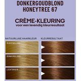 Guhl Intensive - No. 67 Donker Goudblond CrÃ¨me-kleuring - Haarverf