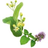 Guhl Gevoeligde Hoofdhuid - 250 ml