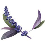 Guhl Zilverglans & Verzorging Shampoo 250 ml