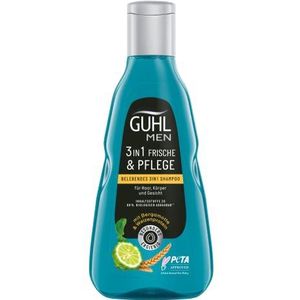Guhl Men 3-in-1 Fresh & Care Shampoo - Inhoud: 250 ml - Voor haar, lichaam en gezicht - haartype: normaal