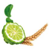 Guhl Man 3-in-1 freshness & care shampoo 250ml