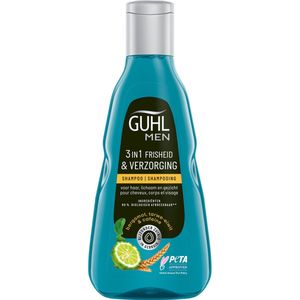 Guhl Man 3-in-1 freshness & care shampoo 250ml