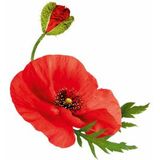 4x Guhl Shampoo kleurbehoud & verzorging 250ML