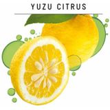 4x Guhl Shampoo Fris & Luchtig 250 ml