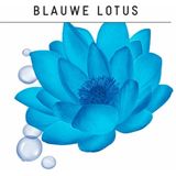 Guhl Fӧhn-Active Styling Spray Langdurig Volume - 4 x 125 ml